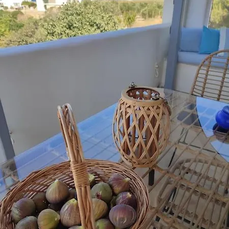 Summer Family House 300m From The